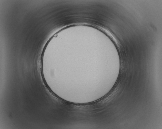 X0000116290951200912291410