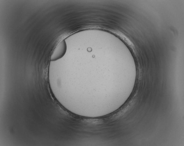 X0000116290953200912291410