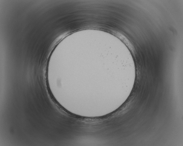 X0000116290954200912291410