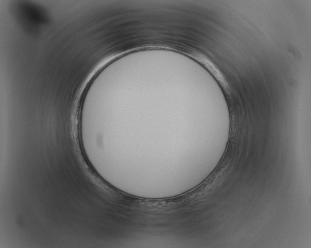 X0000116290955200912291410