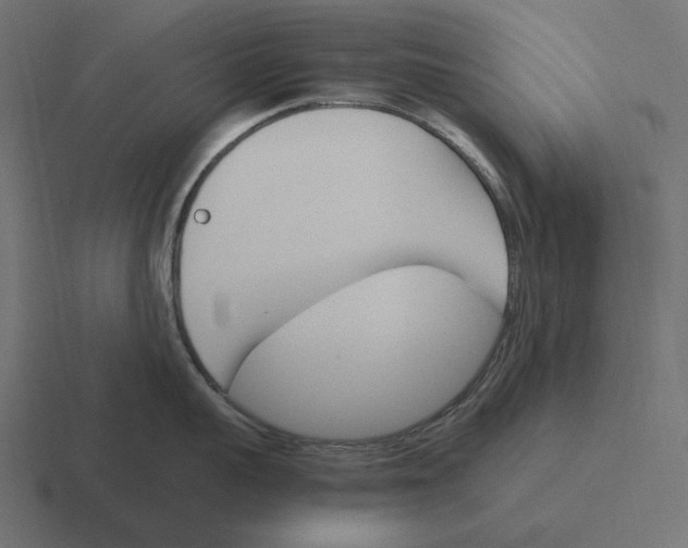 X0000116290959200912291410