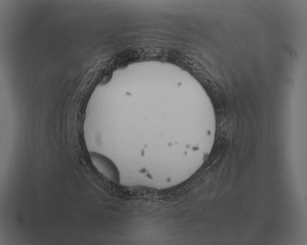 X0000116290961200912291409