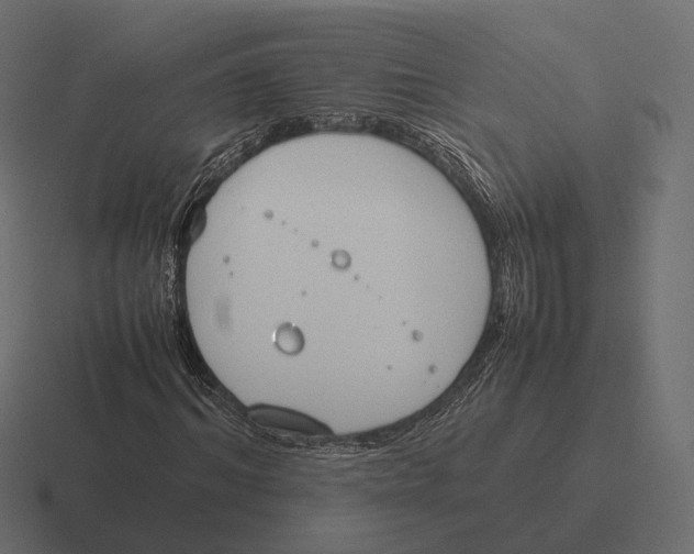 X0000116290964200912291409