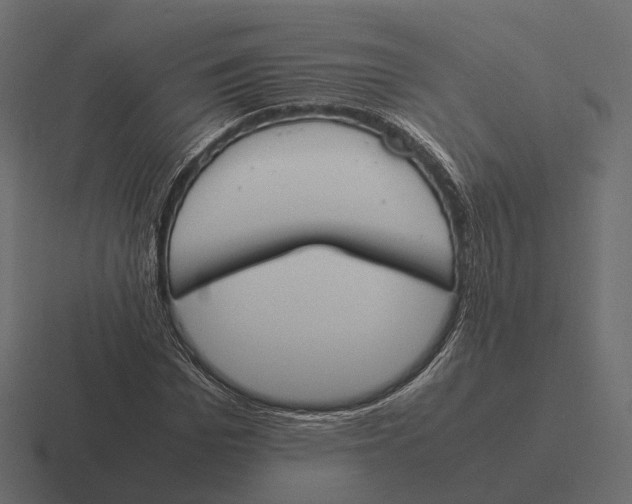 X0000116290969200912291409