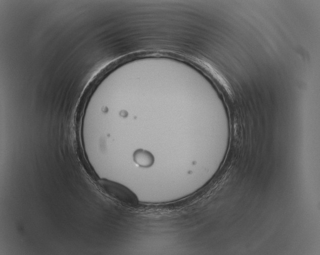 X0000116290972200912291409