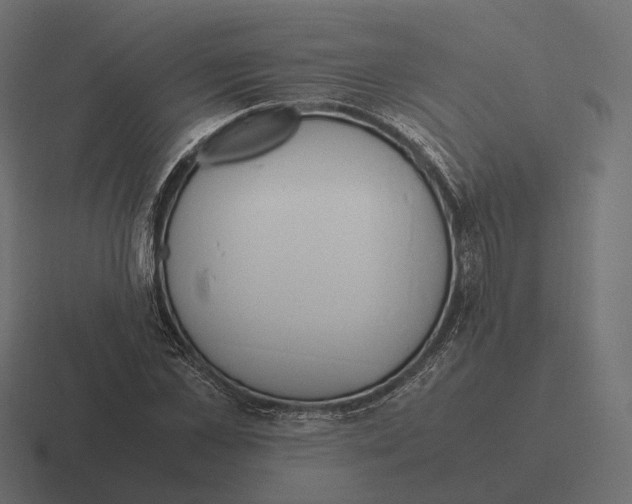 X0000116290973200912291409