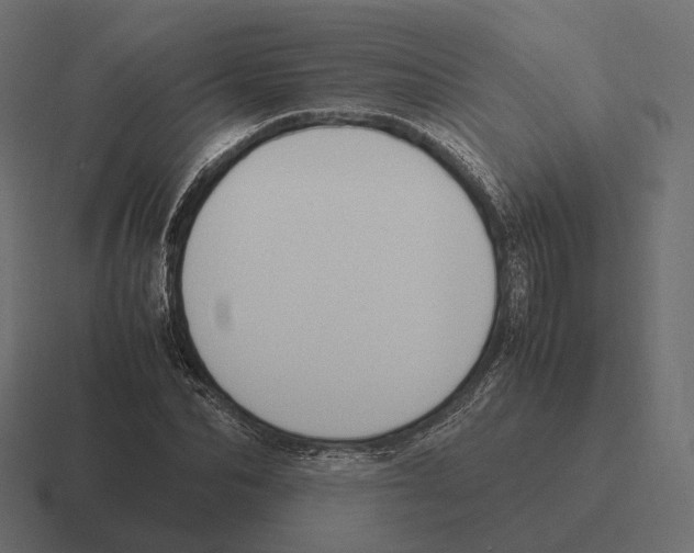 X0000116290974200912291409