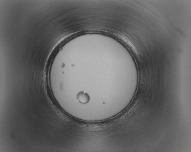 X0000116290976200912291409