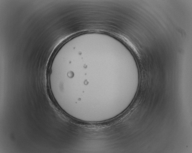 X0000116290980200912291409