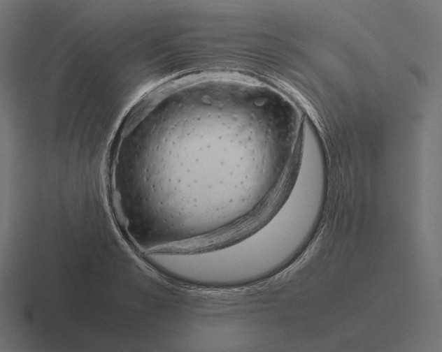 X0000116290989200912291409