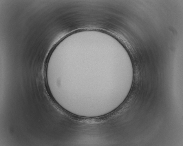 X0000116290990200912291409