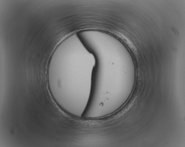 X0000116290993200912291409