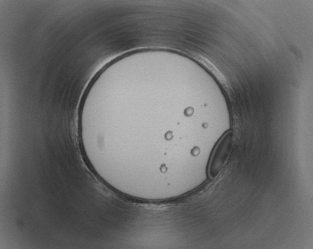 X0000116290996200912291409