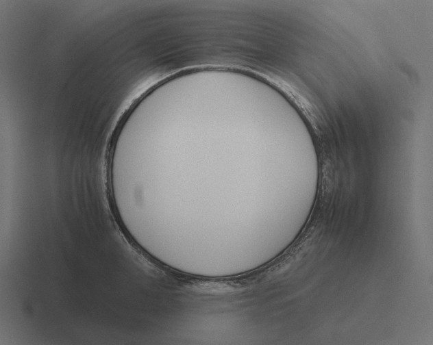 X0000116290998200912291409