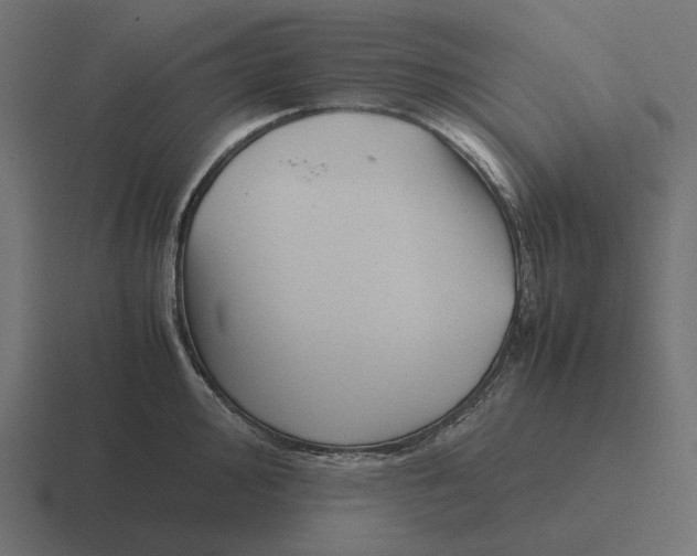 X0000116291000200912291409