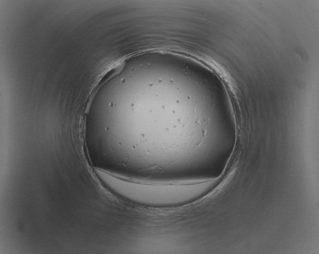 X0000116291001200912291409