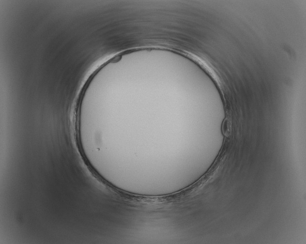 X0000116291003200912291409