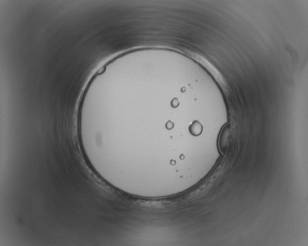 X0000116291004200912291409