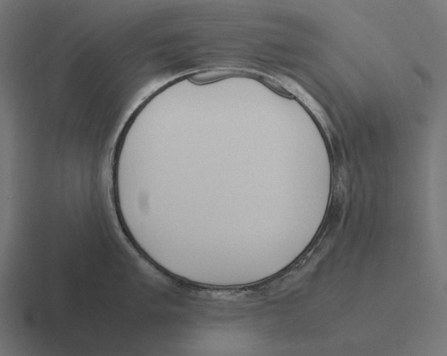 X0000116291005200912291409