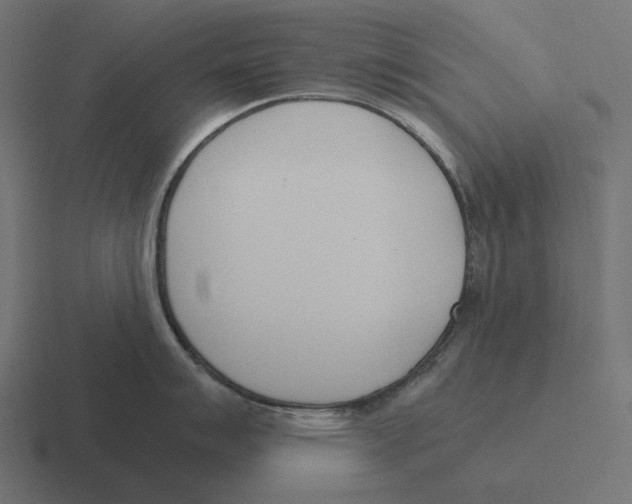 X0000116291007200912291408