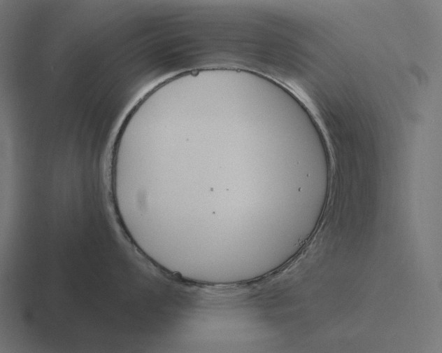 X0000116291008200912291408