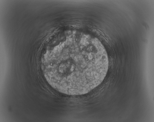 X0000116291009200912291408