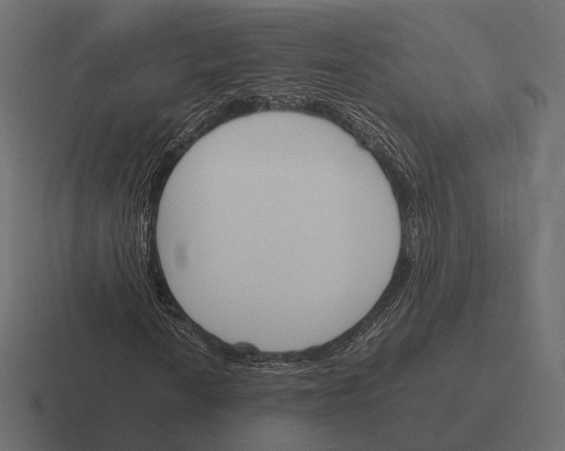 X0000116291010200912291408