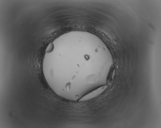 X0000116291013200912291408