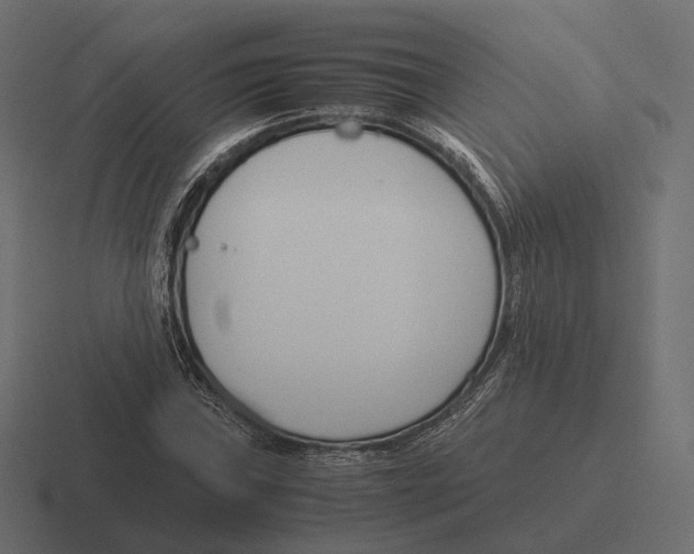 X0000116291019200912291408