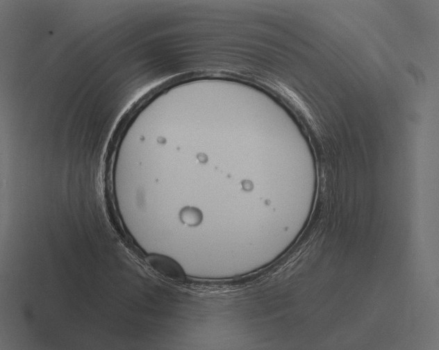 X0000116291020200912291408