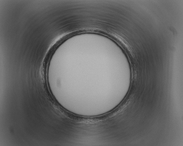 X0000116291022200912291408