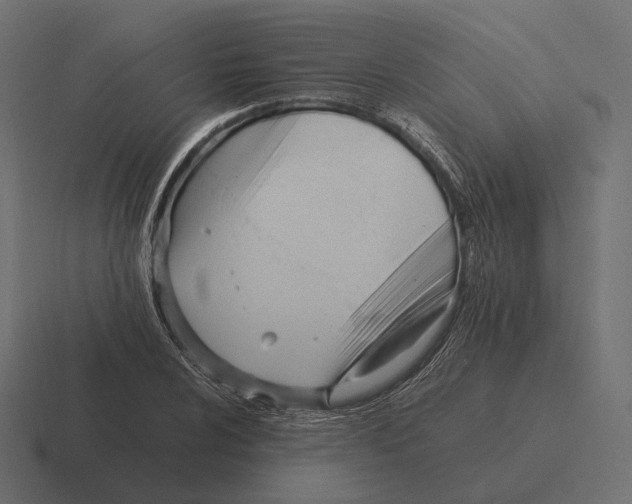 X0000116291024200912291408