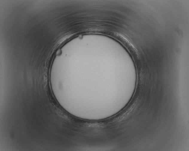 X0000116291025200912291408