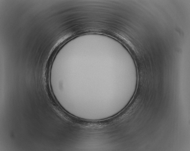 X0000116291026200912291408