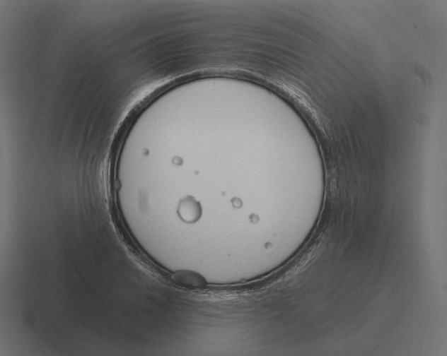 X0000116291030200912291408