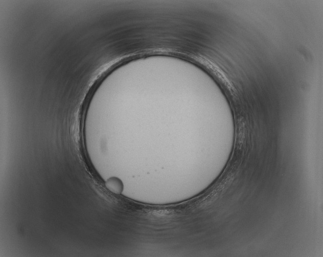 X0000116291031200912291408