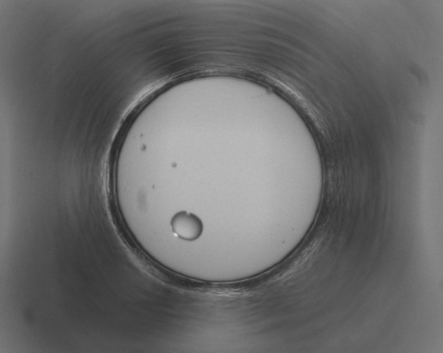 X0000116291034200912291408