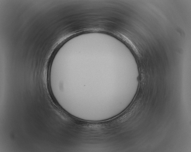 X0000116291035200912291408