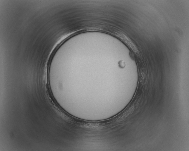 X0000116291036200912291408