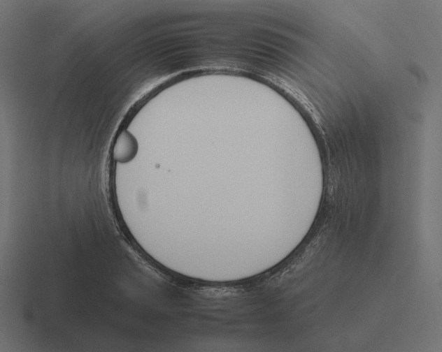 X0000116291037200912291408