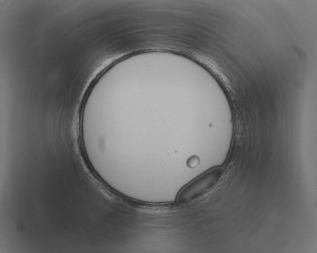 X0000116291040200912291408