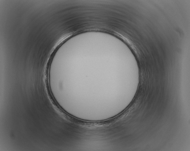 X0000116291042200912291408