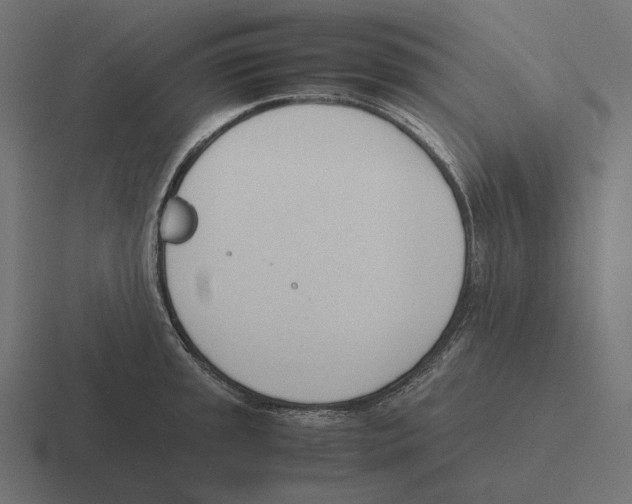 X0000116291045200912291408