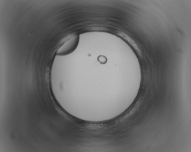 X0000116291049200912291408