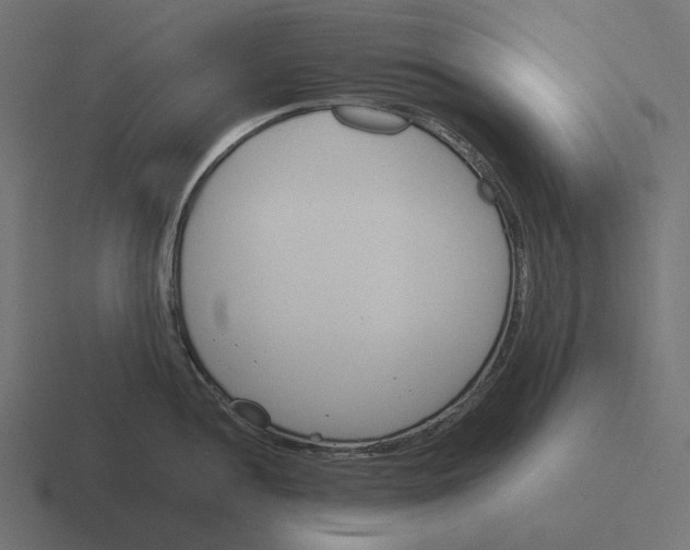 X0000116291052200912291408