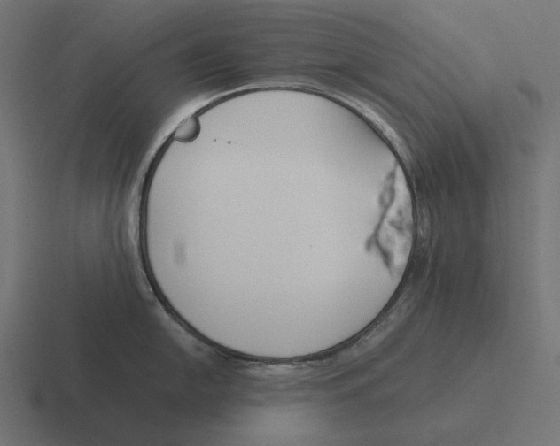 X0000116291054200912291408