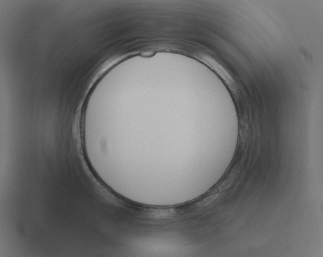 X0000116291055200912291408