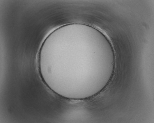 X0000116291056200912291408