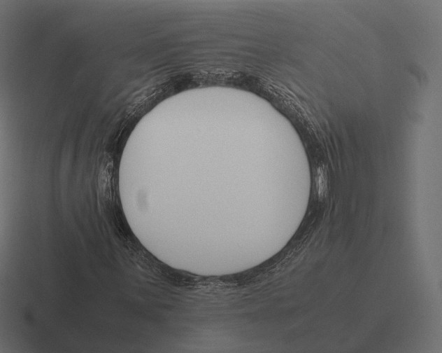 X0000116291059200912291408