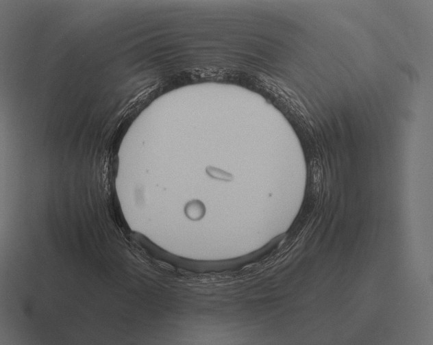 X0000116291060200912291408